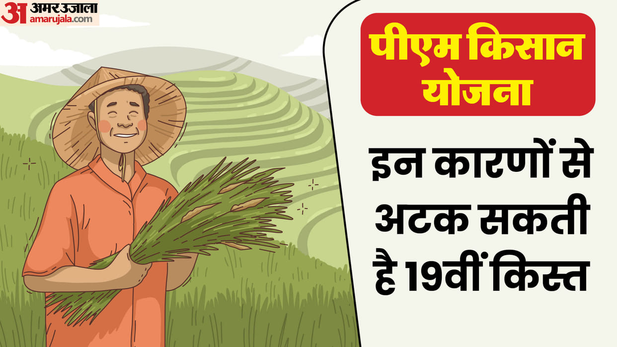 PM Kisan Yojana: these work is important for 19th kist