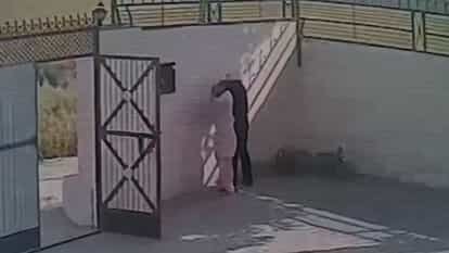 Gold earrings snatched from woman in Moga