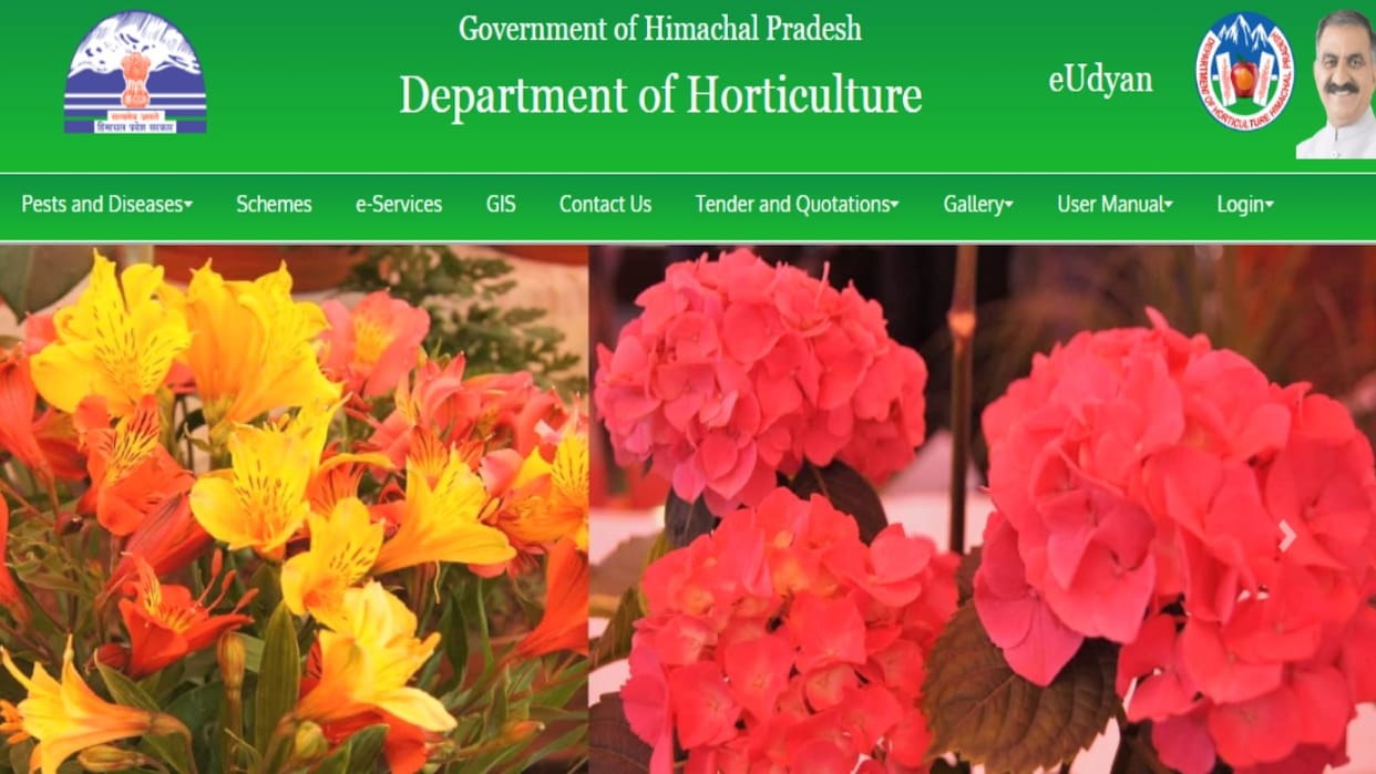 500 workers in the Horticulture Department are in danger of losing their jobs, know the full story