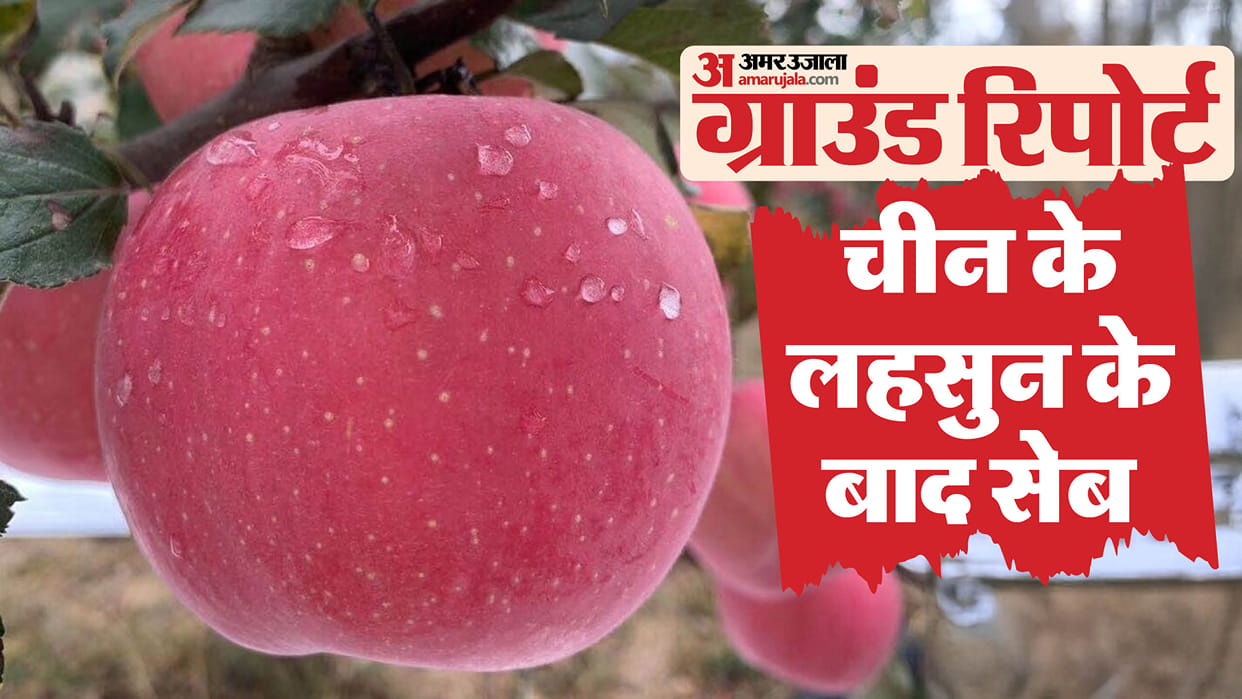 Apples from China crossing border and reaching entire country Mango and Kiwi are also infiltrating from border