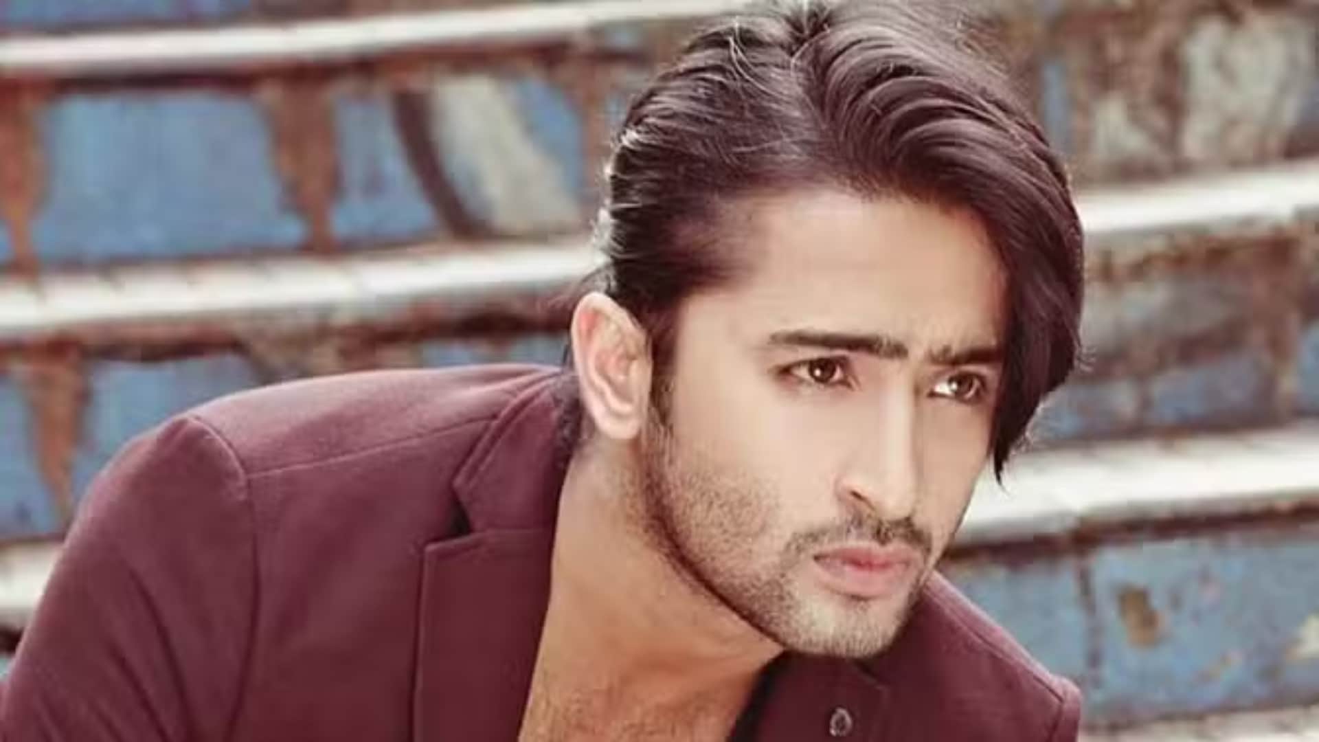Kriti Sanon talked about huge fan following of Shaheer Sheikh who have worked in Do Patti movie
