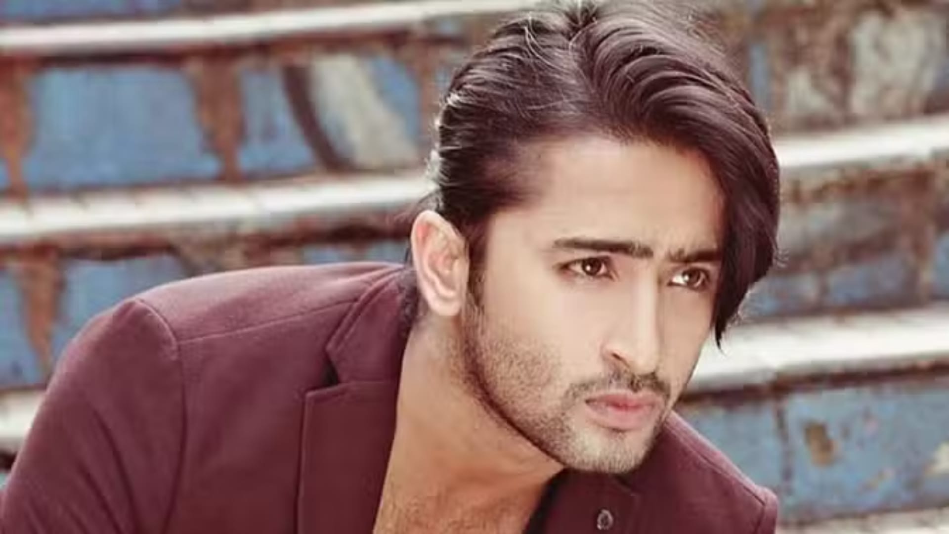 Kriti Sanon talked about huge fan following of Shaheer Sheikh who have worked in Do Patti movie