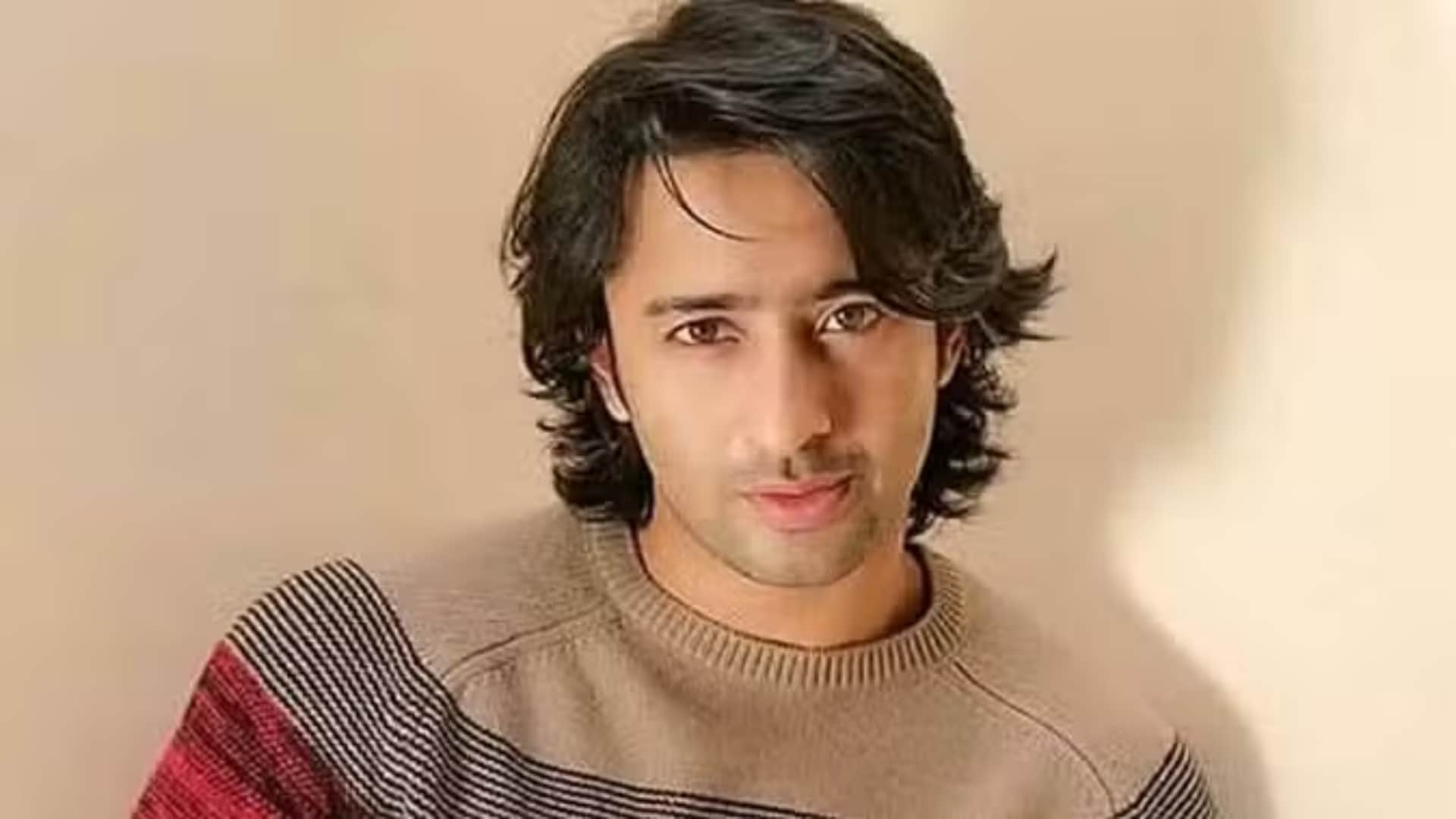 Kriti Sanon talked about huge fan following of Shaheer Sheikh who have worked in Do Patti movie