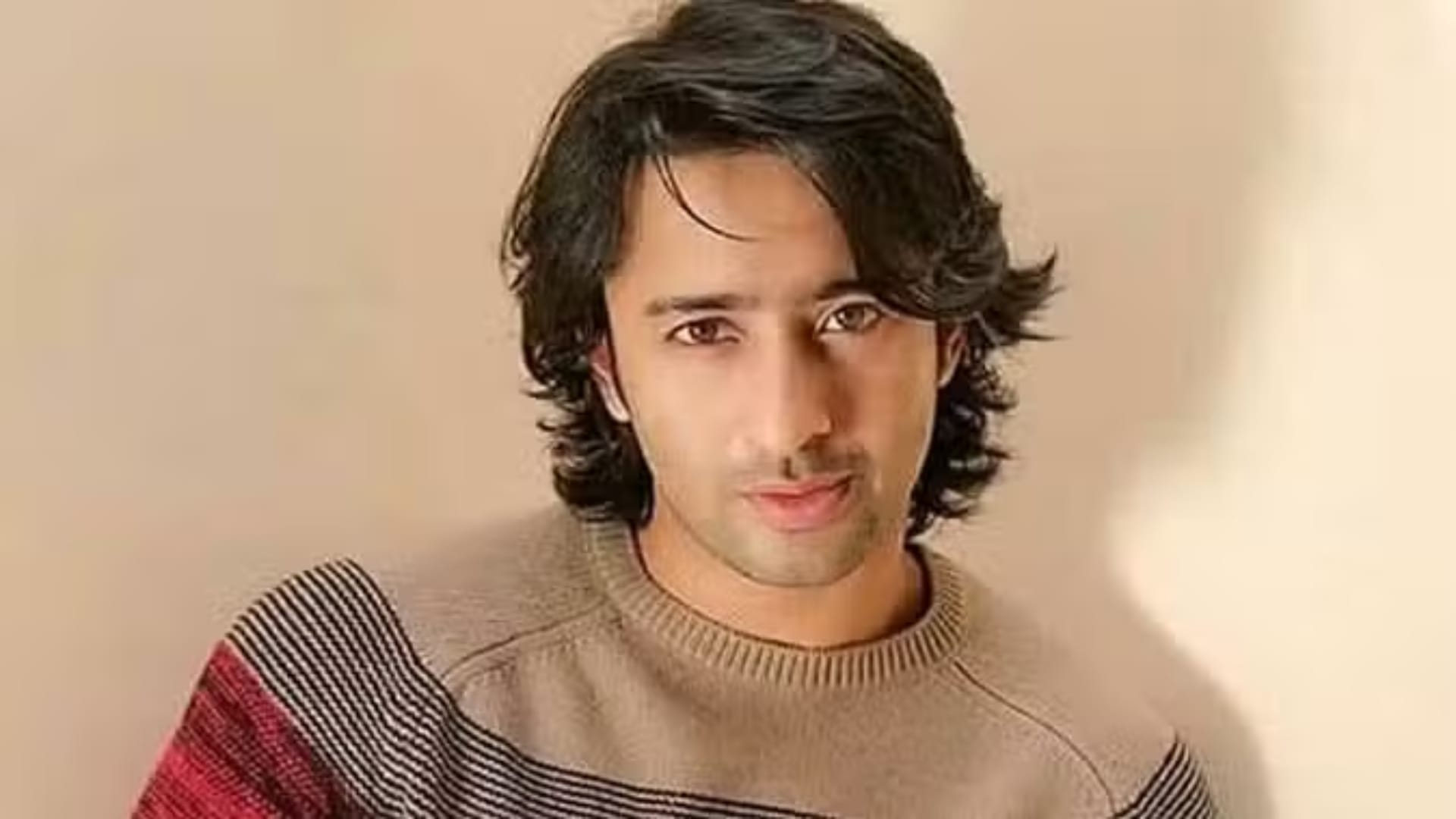 Kriti Sanon talked about huge fan following of Shaheer Sheikh who have worked in Do Patti movie