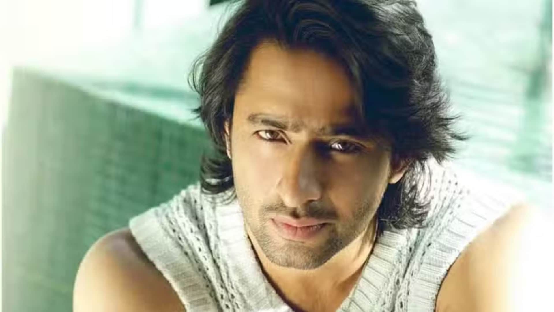Kriti Sanon talked about huge fan following of Shaheer Sheikh who have worked in Do Patti movie