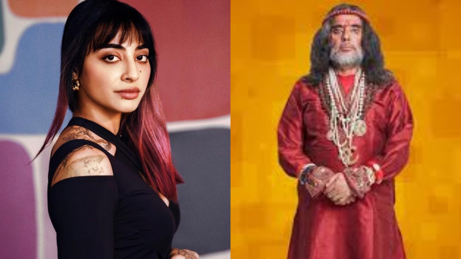 Bigg Boss Contestants Who Became Famous For Their Fights Dolly Bindra Swami Om Shalin Bhanot