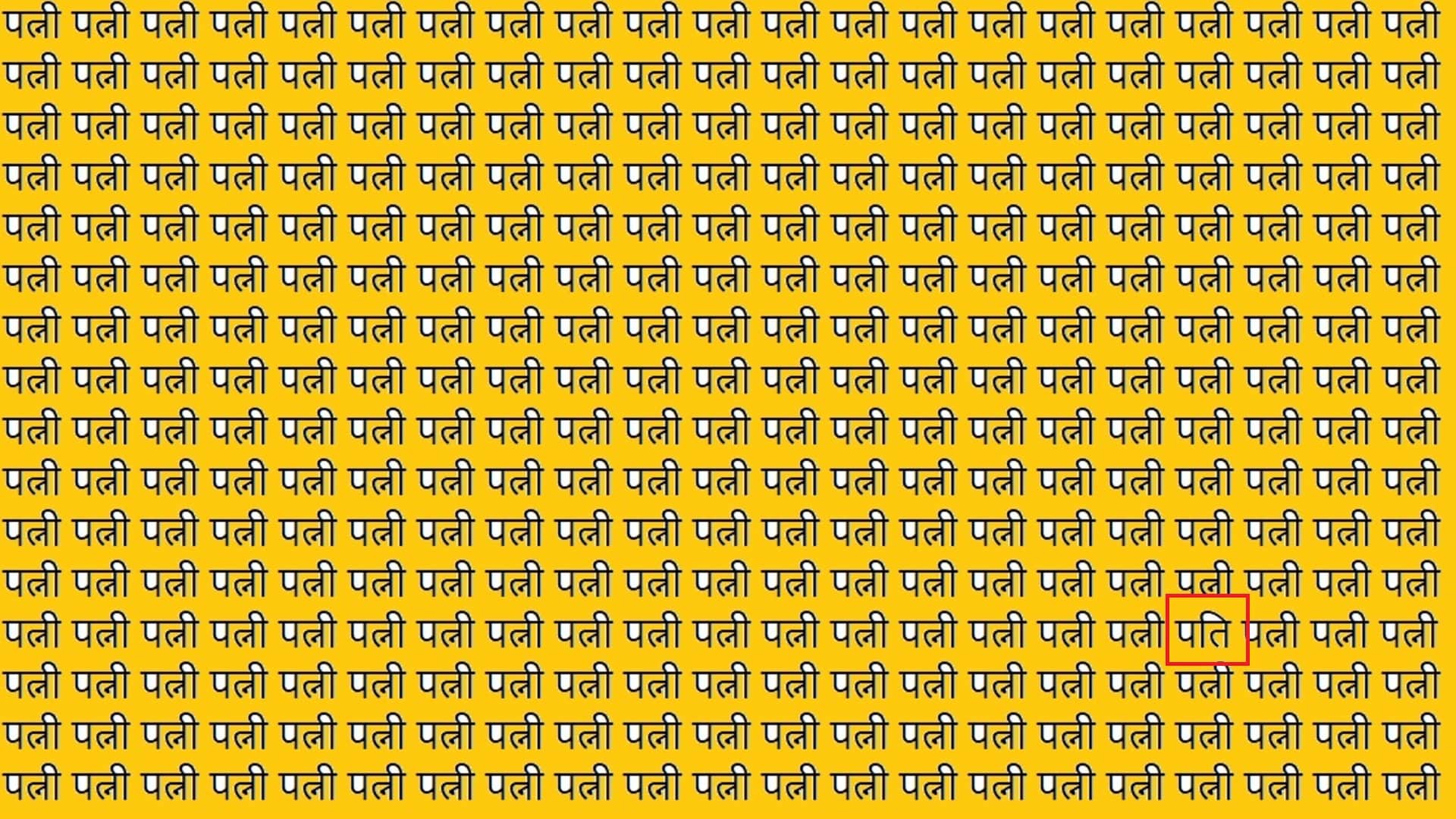 Viral Optical Illusion Photo: Find Out Hidden Pati from Picture in 11 Seconds Illusion to Test Your Brain IQ