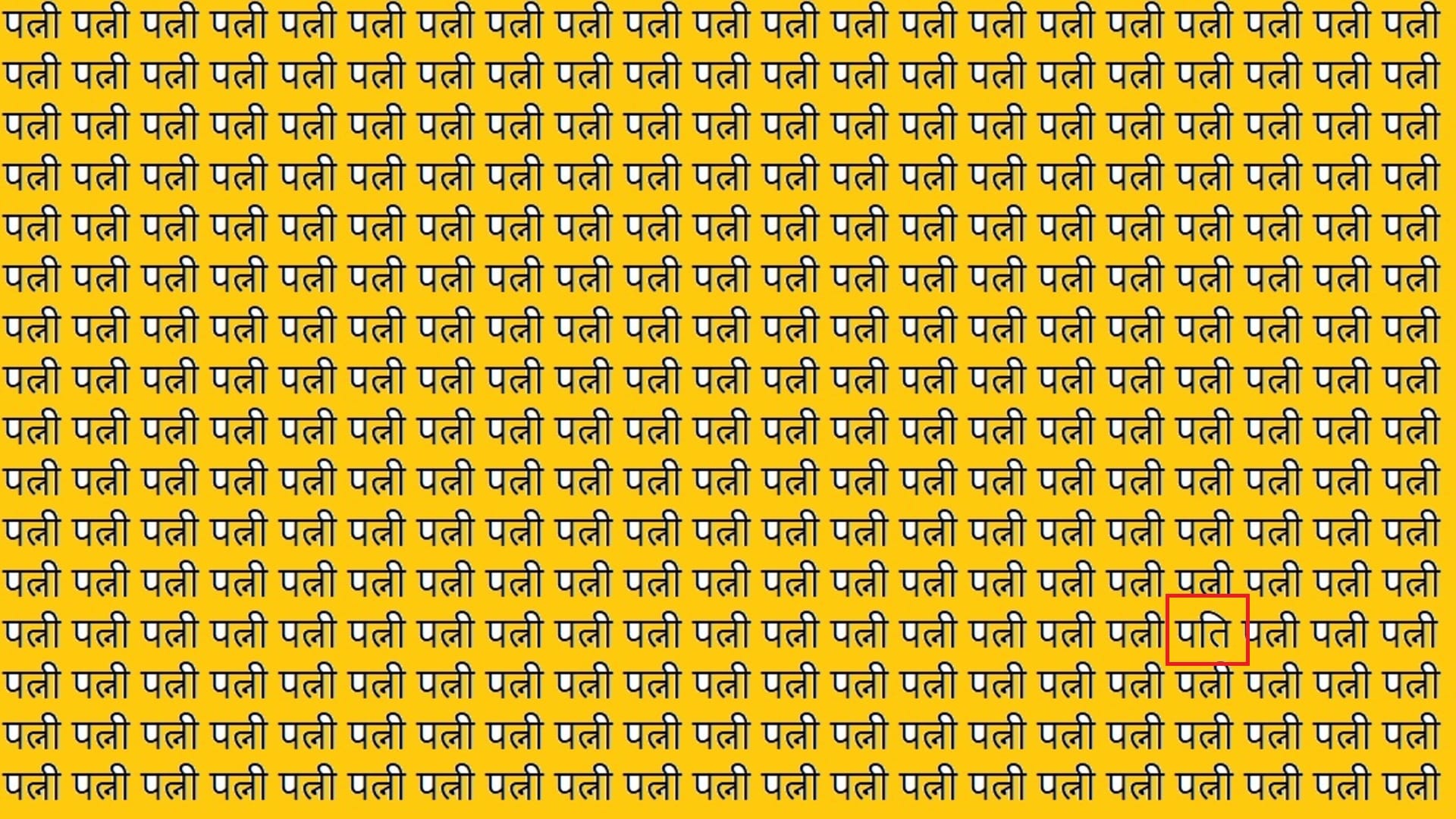 Viral Optical Illusion Photo: Find Out Hidden Pati from Picture in 11 Seconds Illusion to Test Your Brain IQ