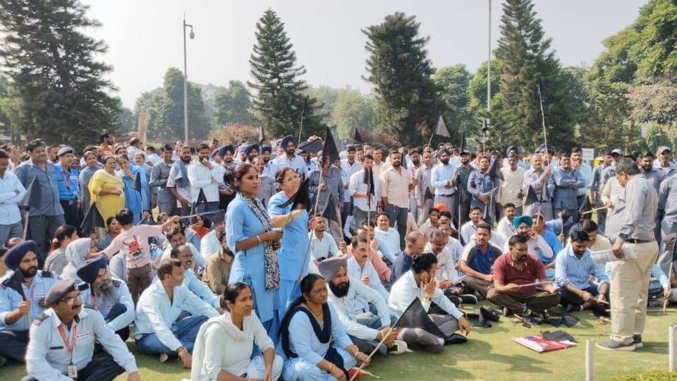 Strike in Chandigarh PGI contract employees protest outside Director office