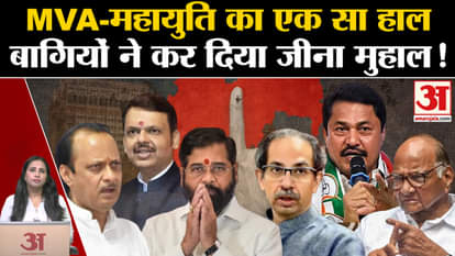 Maharashtra Assembly Election 2024: Rebel leaders increase problems in MVA and Mahayuti, independents enter th