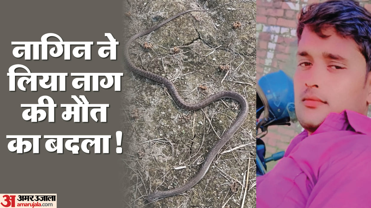snake bit a young man and killed him An hour after killing a snake In Bareilly