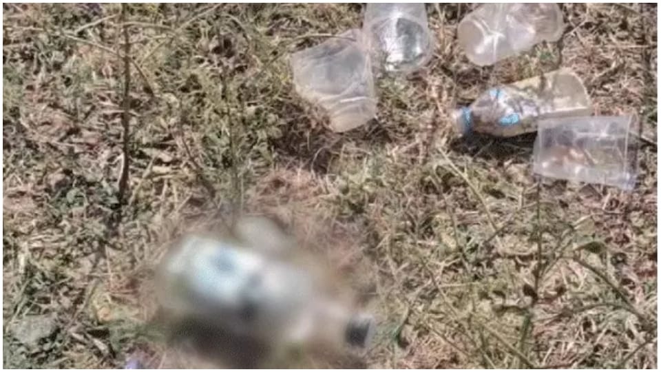 Rewa Crime News Gang Rape of Wife in Front of Husband Accused Inside story Police Case Update