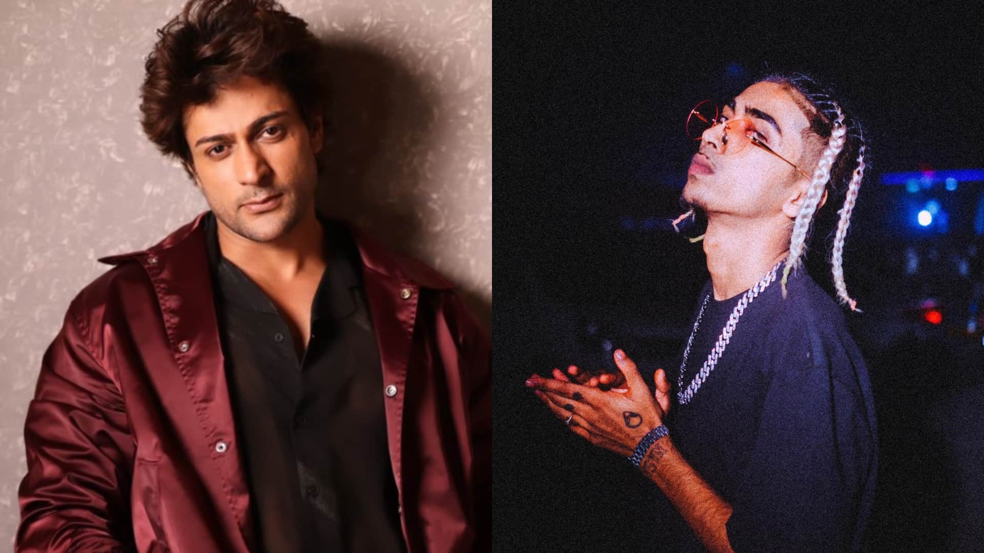 Bigg Boss Contestants Who Became Famous For Their Fights Dolly Bindra Swami Om Shalin Bhanot