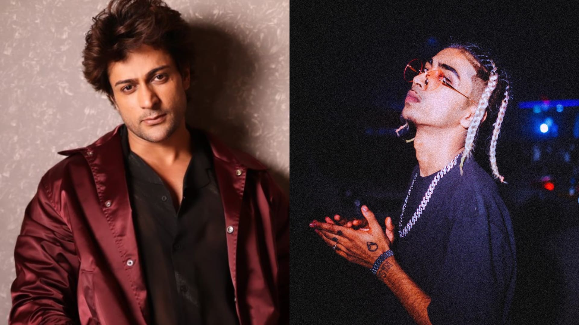 Bigg Boss Contestants Who Became Famous For Their Fights Dolly Bindra Swami Om Shalin Bhanot