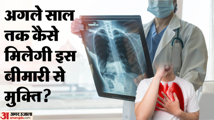 India Reported 25.5 Lakh Cases Of Tuberculosis In 2023 Know Tb Symptoms Complications In Hindi – Amar Ujala Hindi News Live