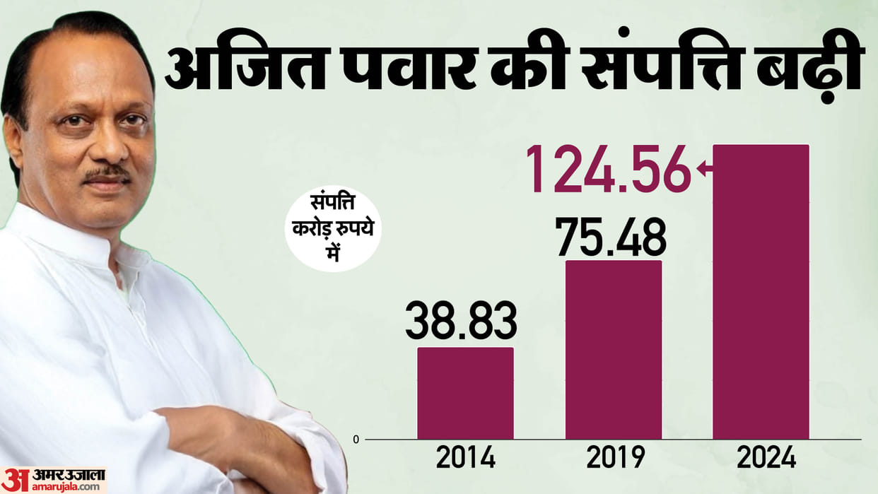 Maharashtra Deputy CM Ajit Pawar election affidavit news in hindi