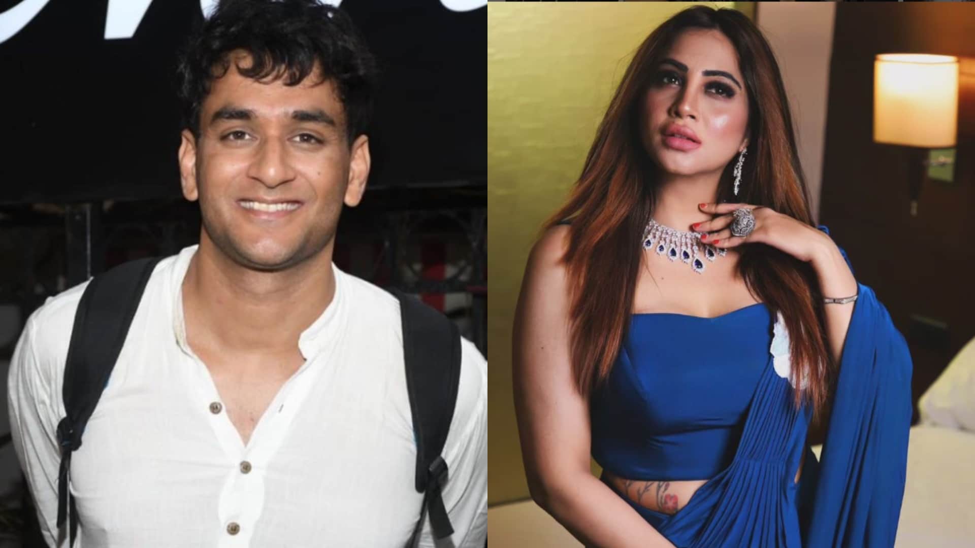 Bigg Boss Contestants Who Became Famous For Their Fights Dolly Bindra Swami Om Shalin Bhanot
