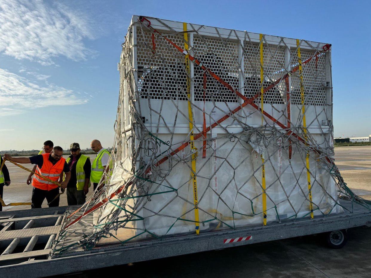Three African elephants will be brought from Tunisia to Vantara, Ambani family will take care of them