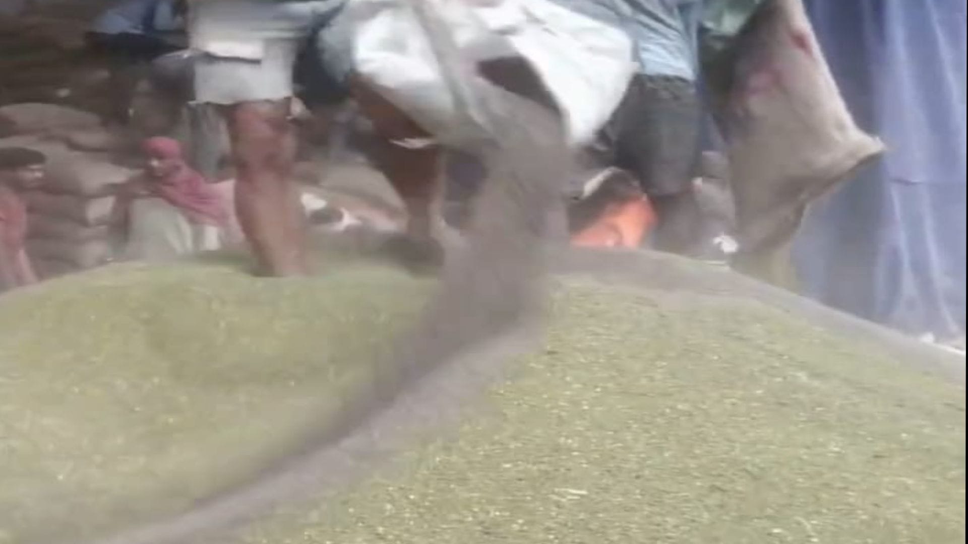 मूंग में मिट्टी डालने का वीडियो वायरल
