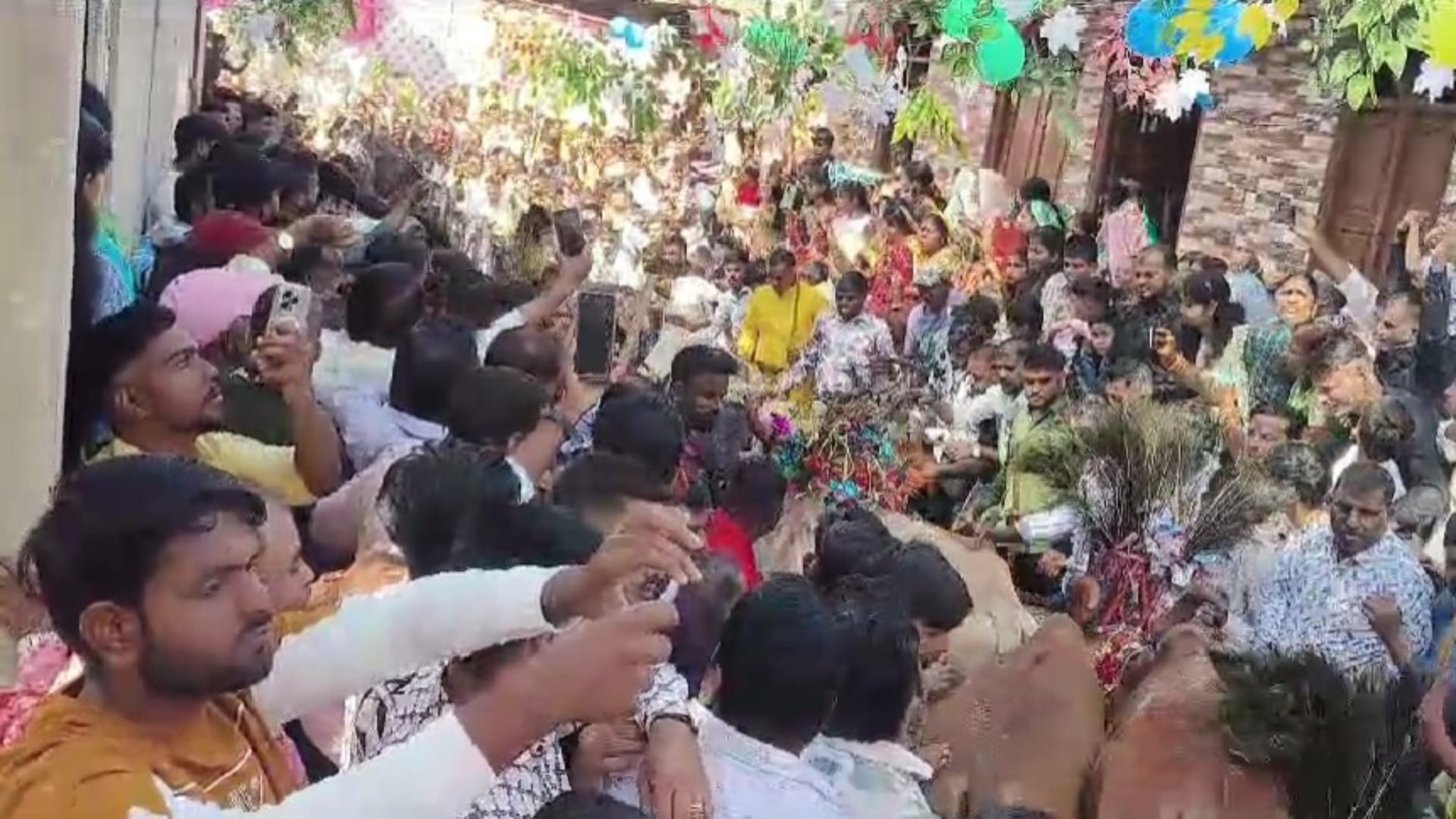 Dhar News: Cow Gohari festival celebrated with great pomp, hundreds of decorated cows passed over devotees