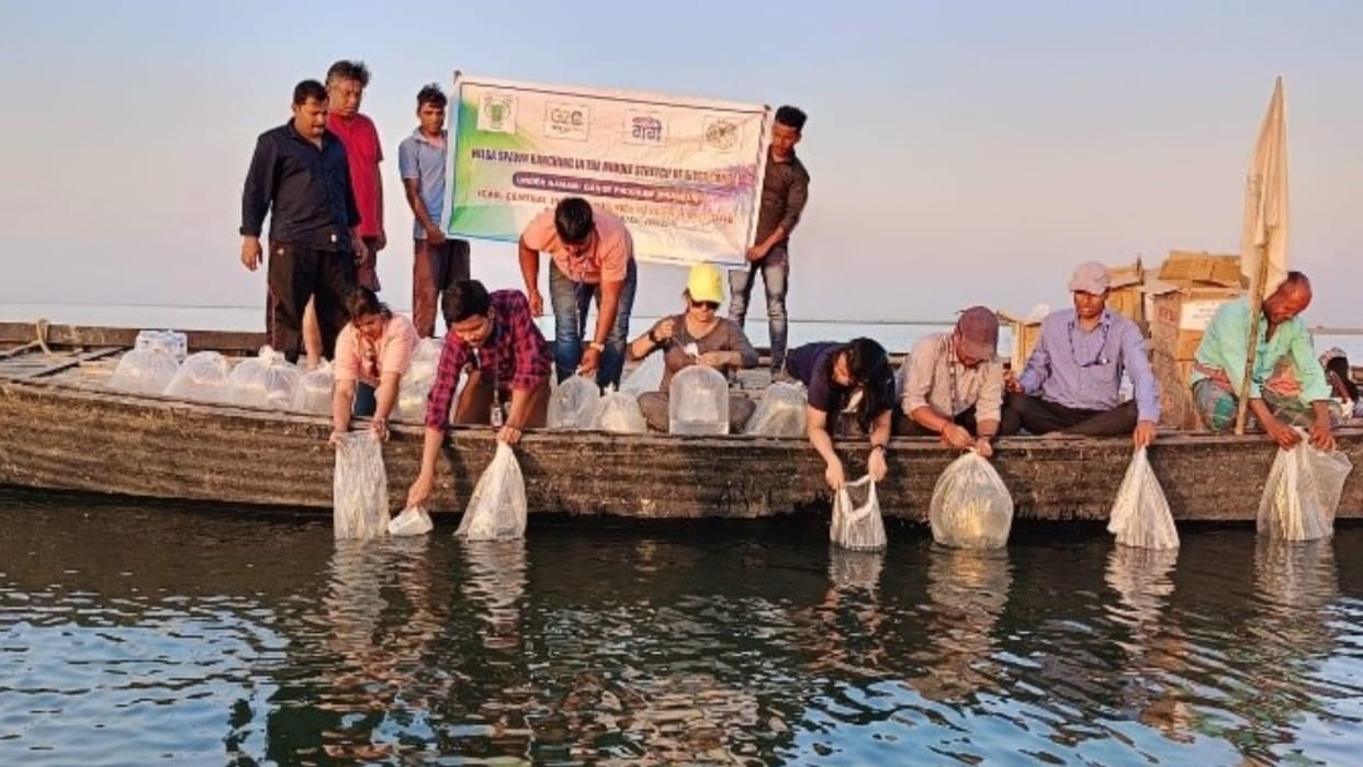 Fish Ranching in Ganga Utsav its importance in aquaculture news in hindi
