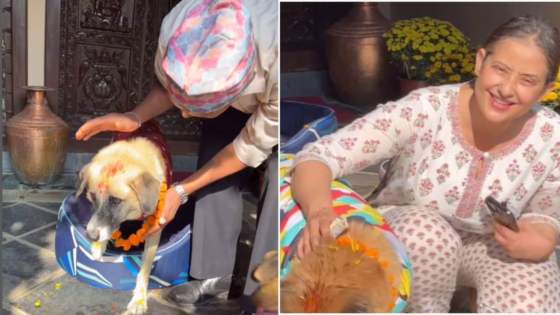 Manisha Koirala dropped an adorable video giving a peek into her Kukur Tihar celebration see netizens reaction