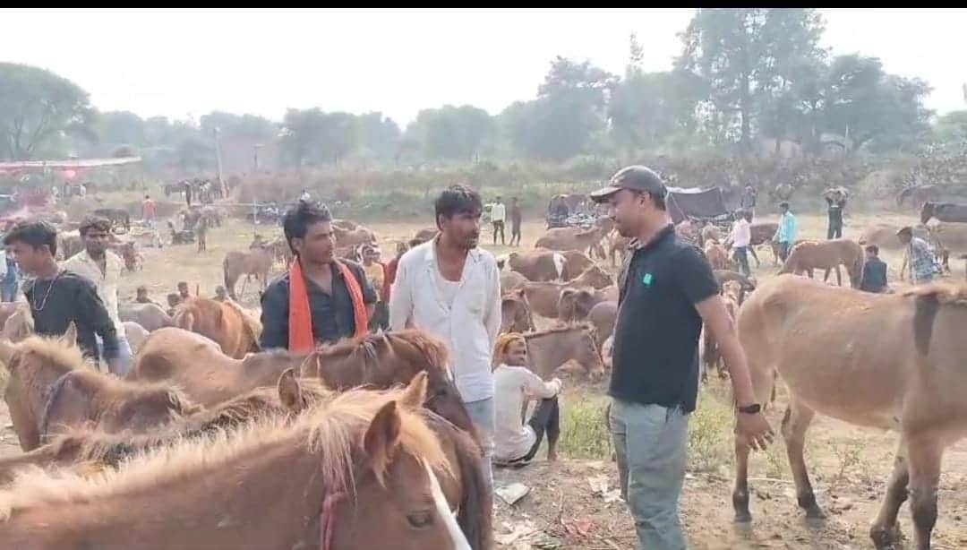 MP News: 'Lawrence' was sold for 1.25 lakhs and people took 'Salman-Shahrukh' lightly