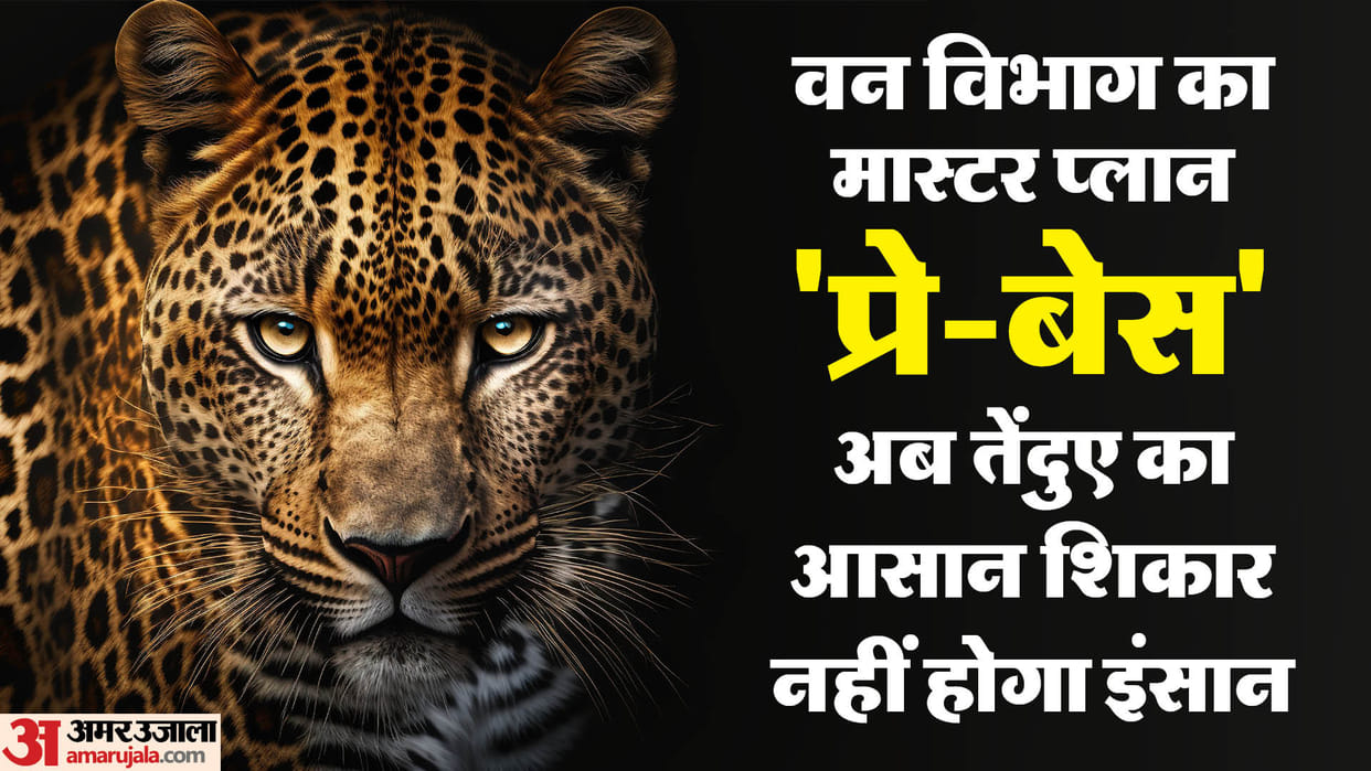 Rajasthan News: Forest department's master plan 'pre-base' is ready to save humans from leopards