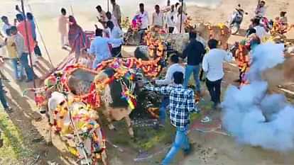 Rajasthan: सांवलियाजी मंदिर गोवर्धन पूजा में हुड़दंगियों ने किया बवाल, महिला श्रद्धालुओं पर फेंके सुतली बम Rajasthan: Hooligans created ruckus during Goverdhan Puja at Sanwaliyaji Temple