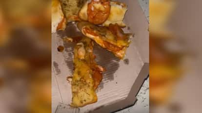 Vegetarian family ordered paneer tikka garlic bread, Dominos sent non-veg