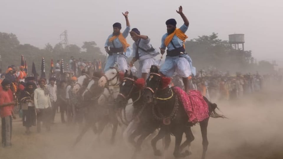 Nihang Sikhs demonstrate horse riding skills on occasion of Bandi Chhor Divas, in Amritsar