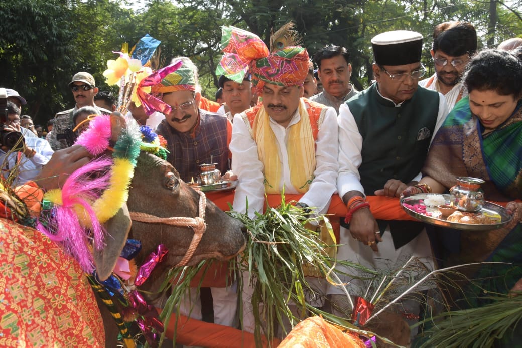 MP News: CM Dr. Yadav's announcement - Old and handicapped cows will be looked after in cow shelters and not i
