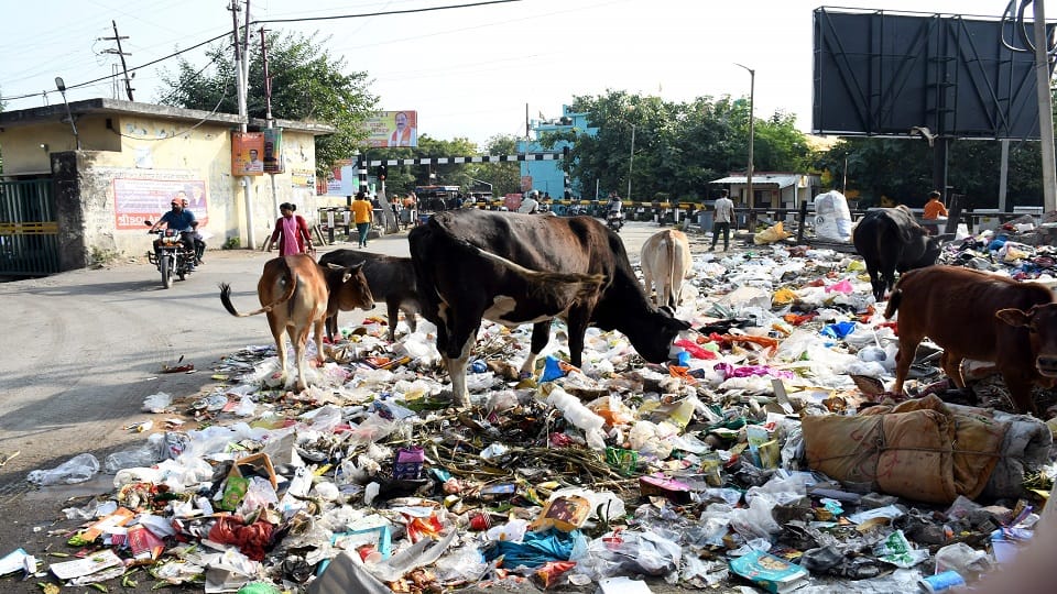 Garbage seen scattered in localities and roads in haldwani