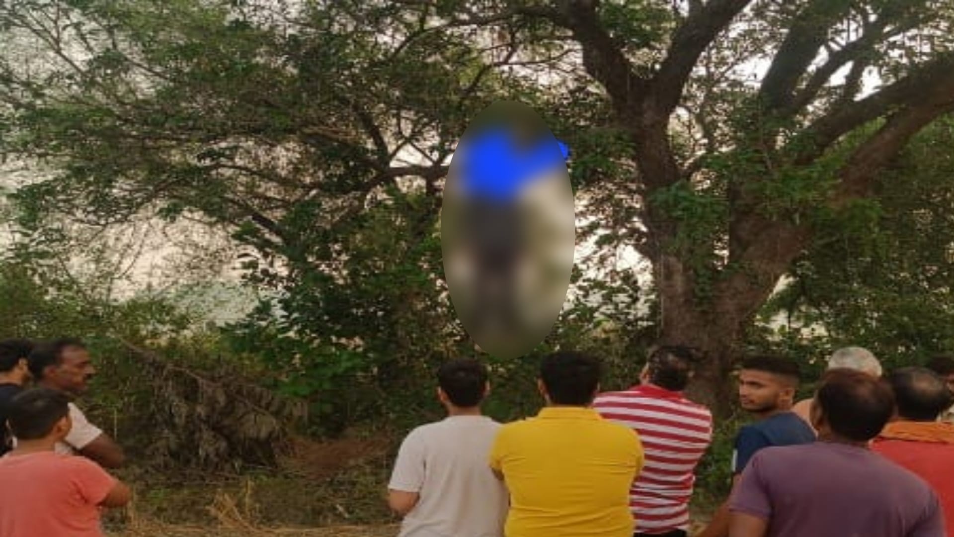 Dead Body Of A Youth Found Hanging From A Tree, Cloth Was Stuffed