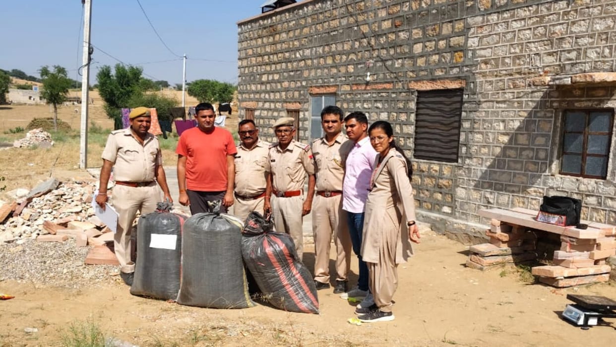 Nagaur News: 77 kg doda poppy kept in the house for drug smuggling seized, accused absconds