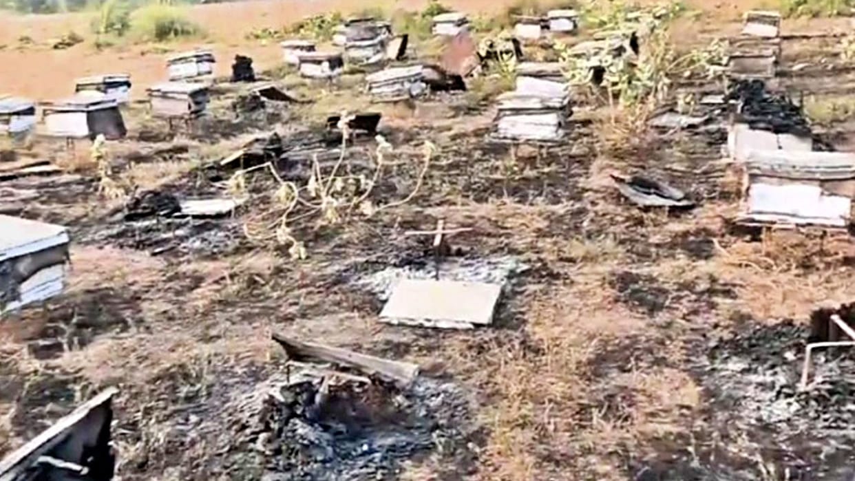 Alwar News Miscreants burnt boxes full of bees owner suffered losses worth lakhs