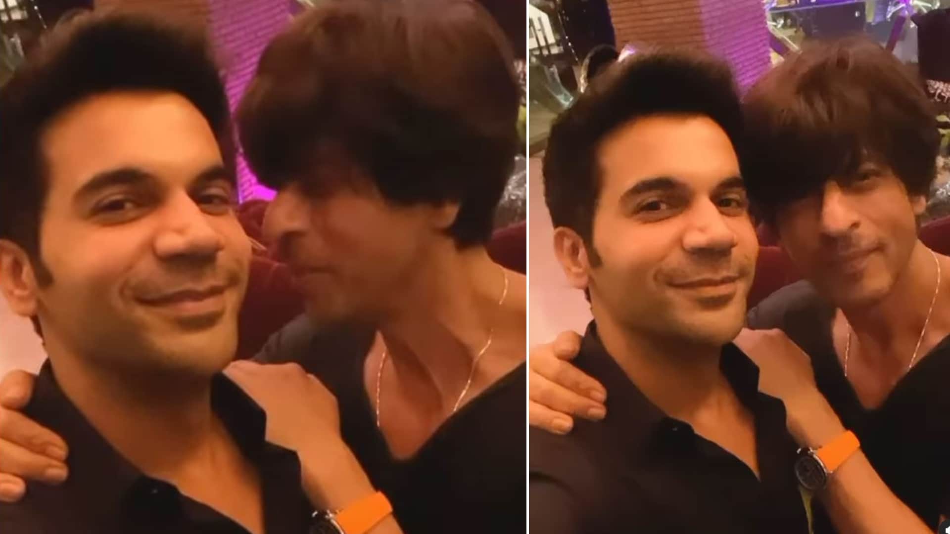 Rajkummar Rao Birthday Wish For Shah Rukh Khan Has A Stree Connection says vickky viral video on social media