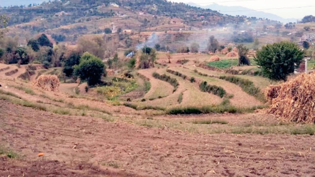 Temperatures are breaking records in winter season, drought-like conditions; wheat sowing stuck