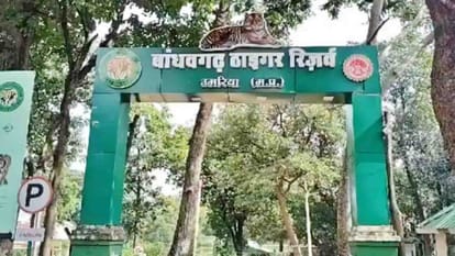 बांधवगढ़ टाइगर रिजर्व।