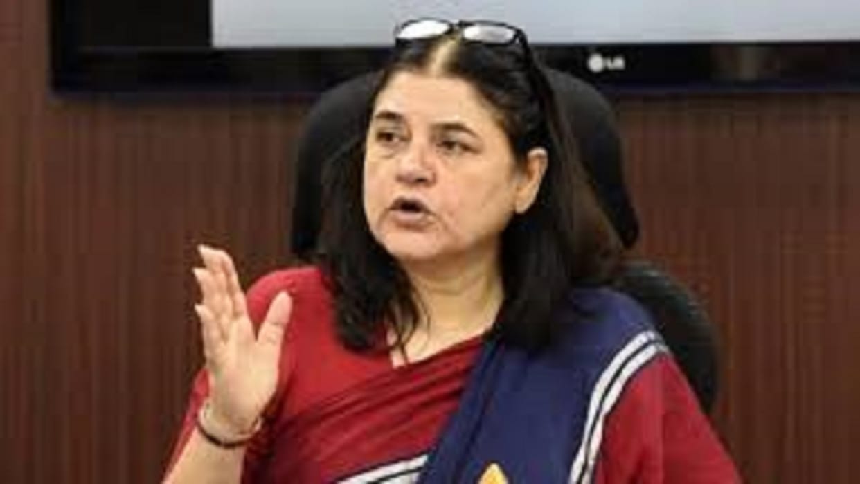 Impractical, financially unviable: Maneka Gandhi slams SC order on stray dogs