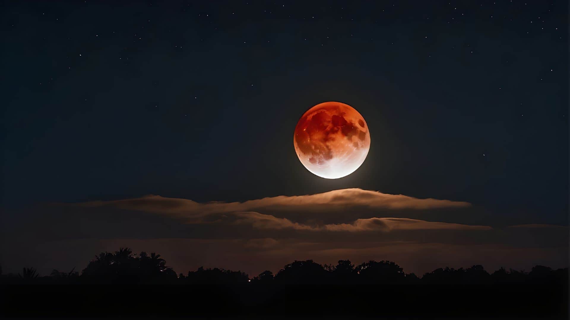five interesting astronomical events happen in November 2024 seen with naked eyes news in hindi