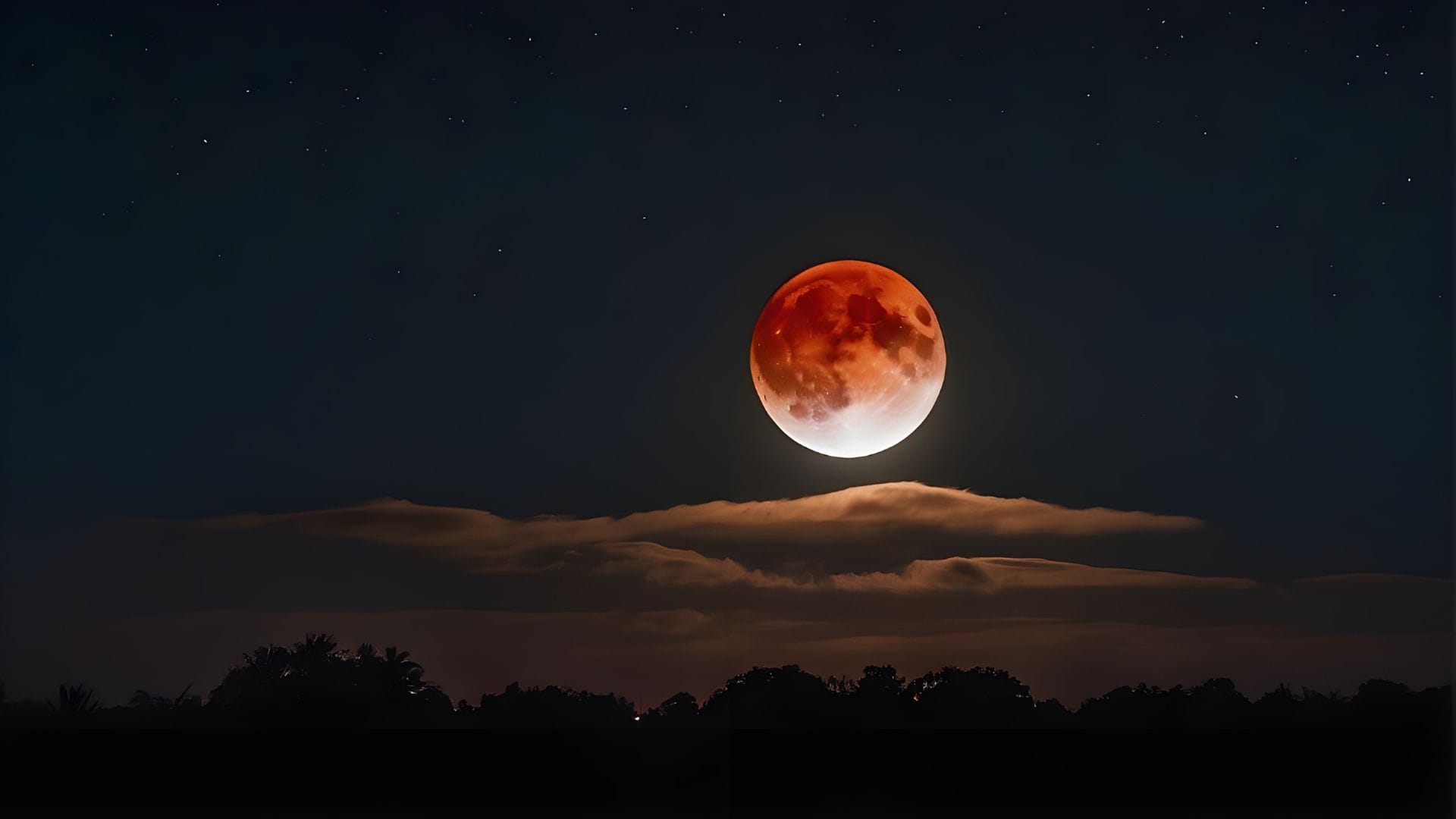 five interesting astronomical events happen in November 2024 seen with naked eyes news in hindi