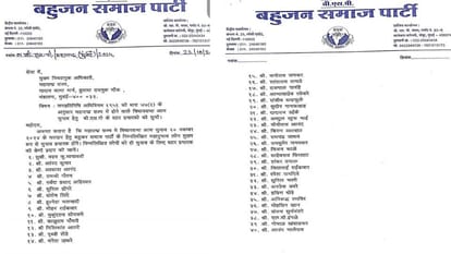 Elections 2024: BSP releases list of star campaigners for Maharashtra-Jharkhand elections