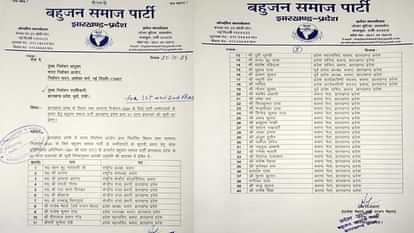 Elections 2024: BSP releases list of star campaigners for Maharashtra-Jharkhand elections