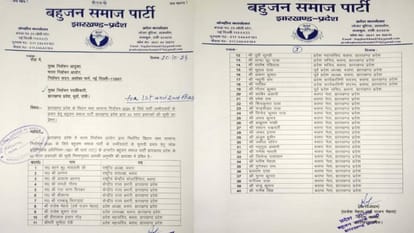 Elections 2024: BSP releases list of star campaigners for Maharashtra-Jharkhand elections