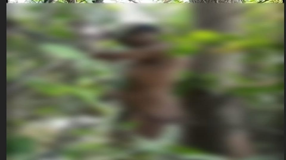Naked body of an unknown person found hanging from a tree deceased not identified in Janjgir Champa