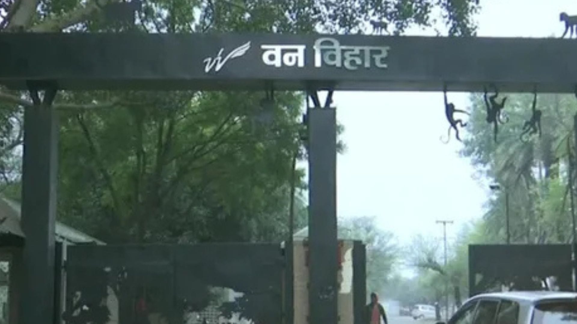 Bhopal: Revised rates implemented for entry of tourists in Van Vihar National Park, know how much will be char