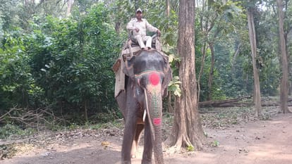 Rare wildlife and bird species make Dudhwa special