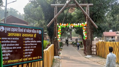 Dudhwa National Park ready for Christmas and New Year celebrations how you can book online