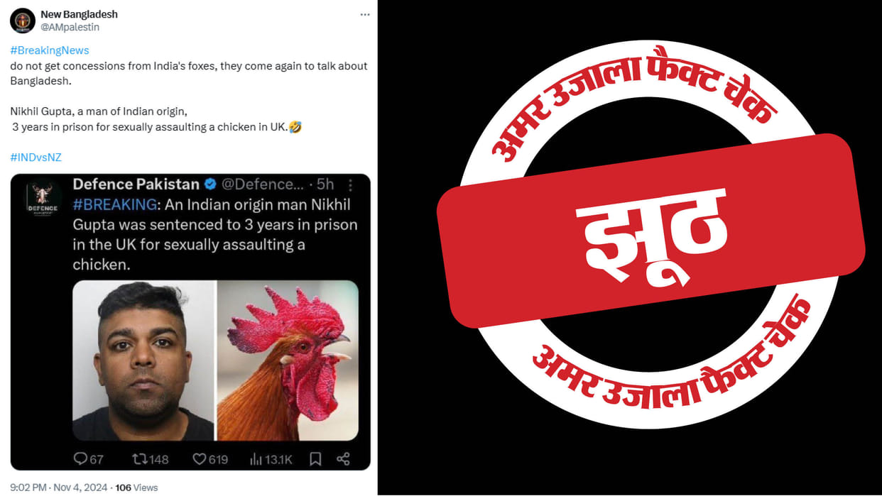 Indian-origin man did not sexually abuse a chicken